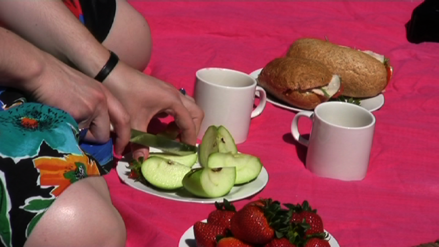 ‘Picnic’ by Evelina Simkute, Ella Horton Chandler and Ipek Hamzaoglu, 2010.
