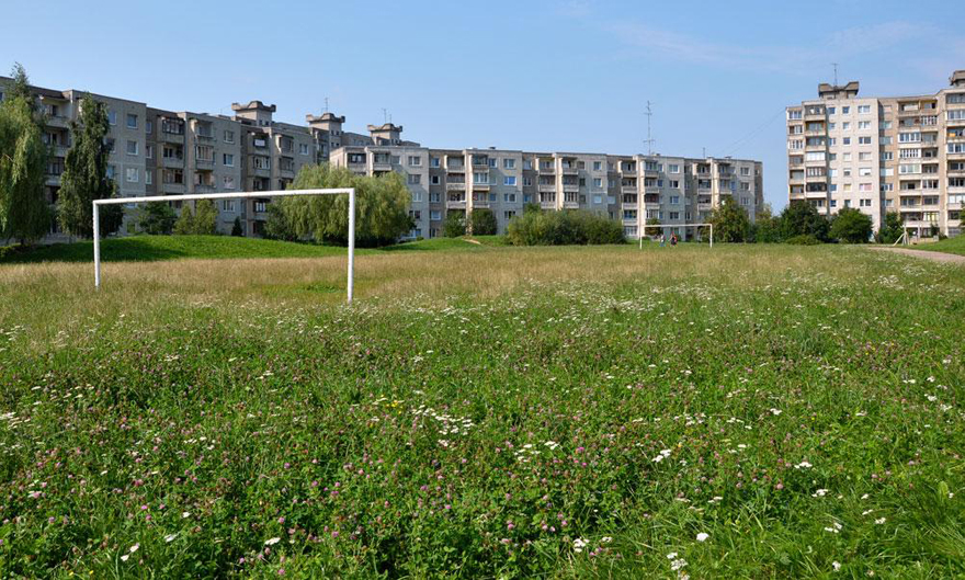 Field by Evelina Simkute 2012