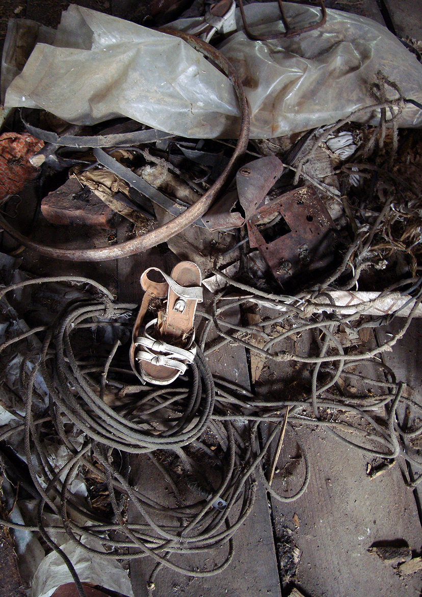 Shoe by Evelina Simkute, 2009